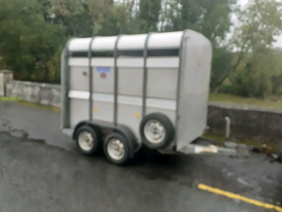 Sheep trailer 8x5 - Image 1