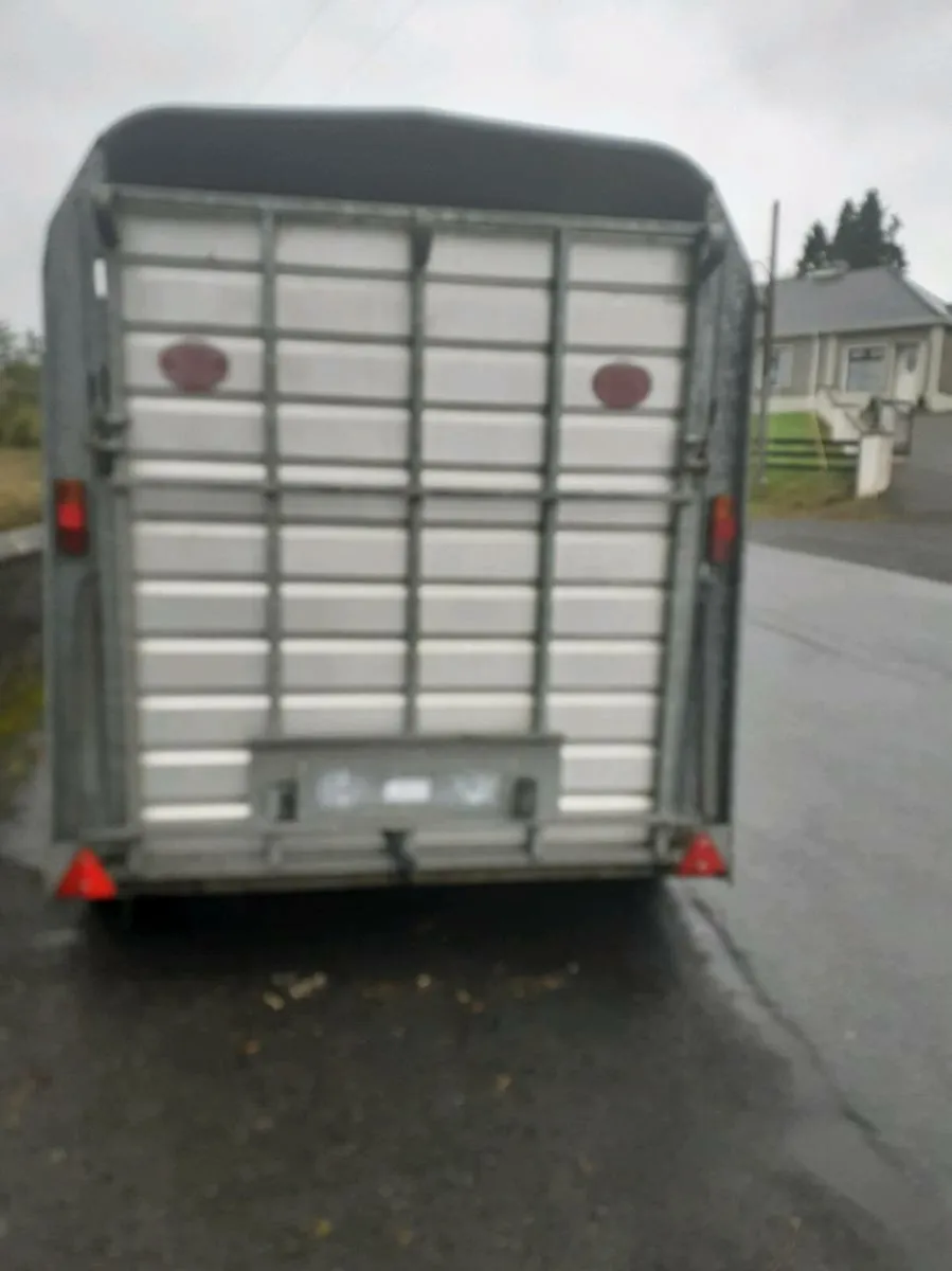 Sheep trailer 8x5 - Image 2