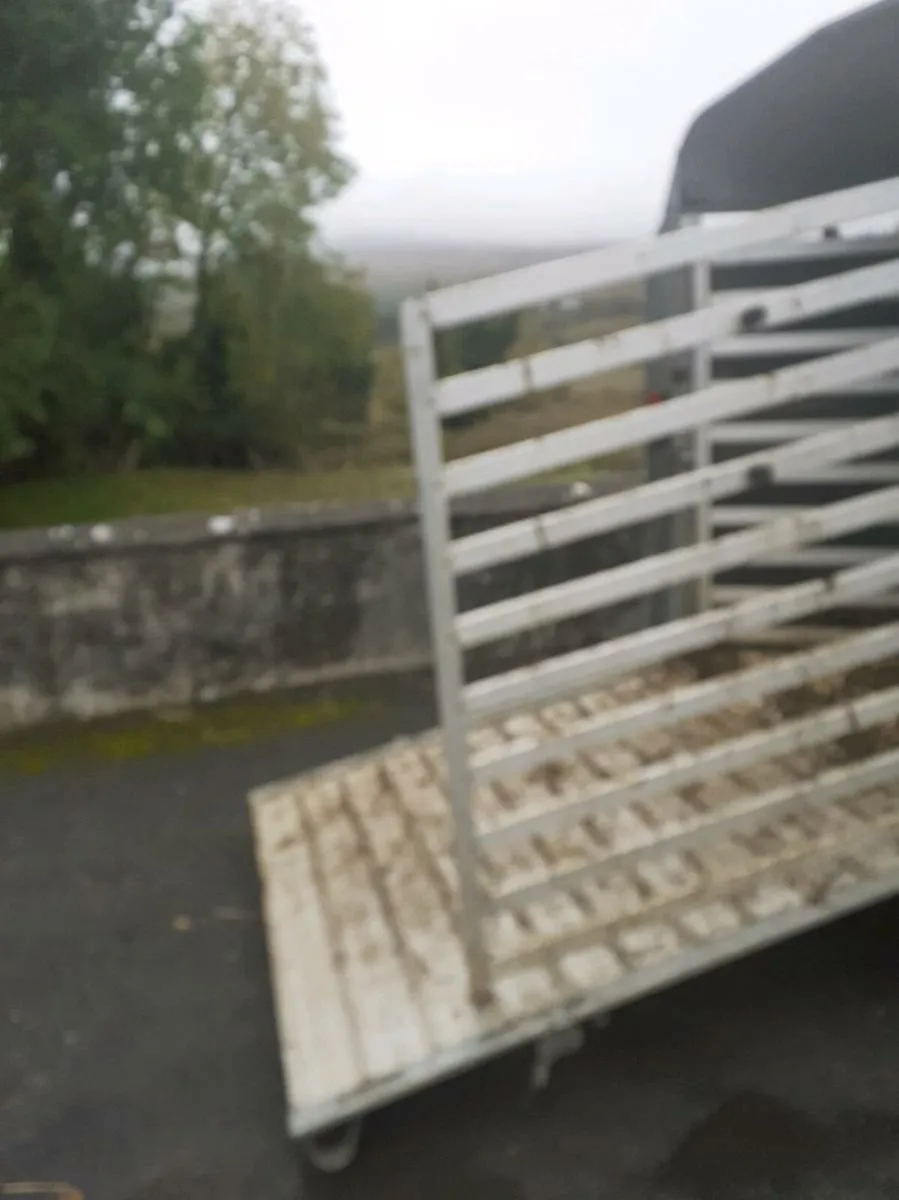 Sheep trailer 8x5 - Image 3