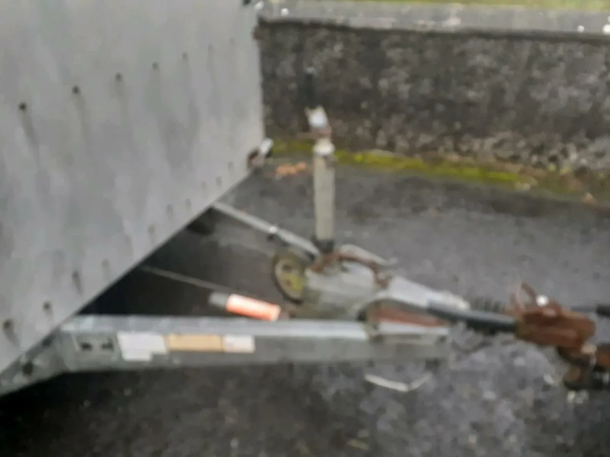 Sheep trailer 8x5 - Image 4