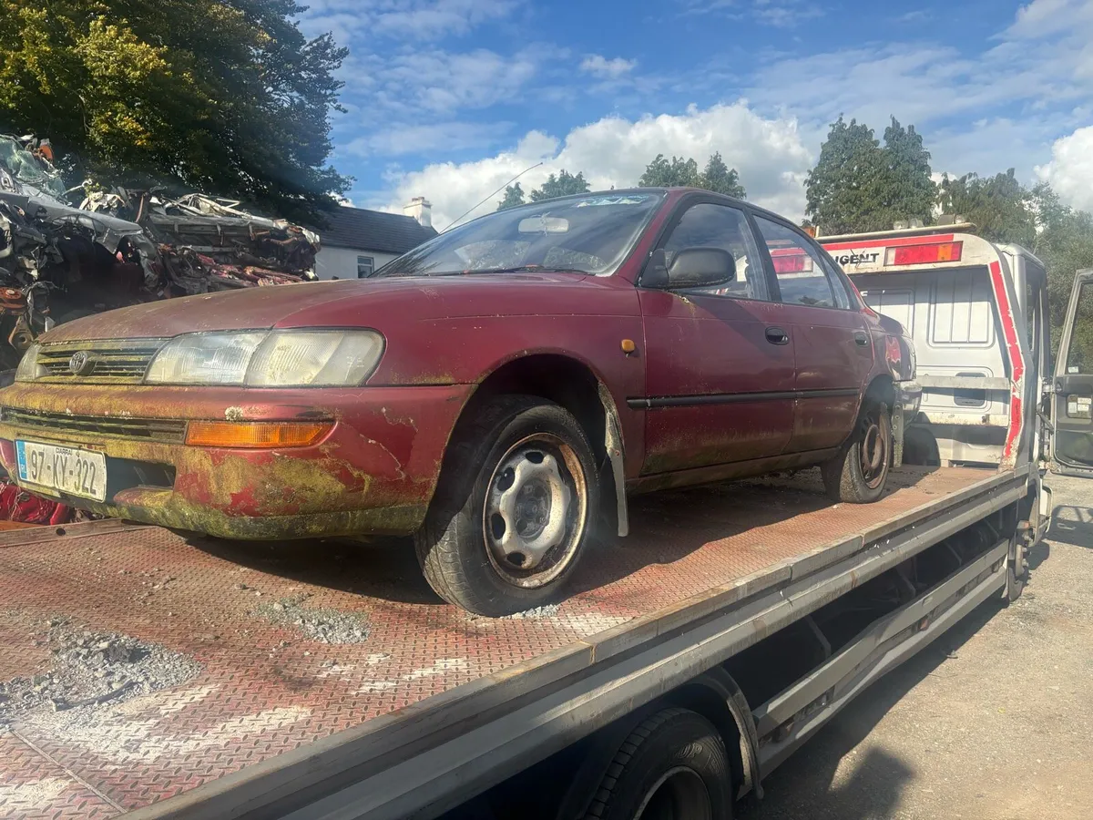 Toyota Corolla & Volkswagen Sheroco - Image 3