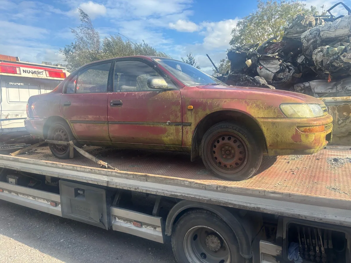 Toyota Corolla & Volkswagen Sheroco - Image 4