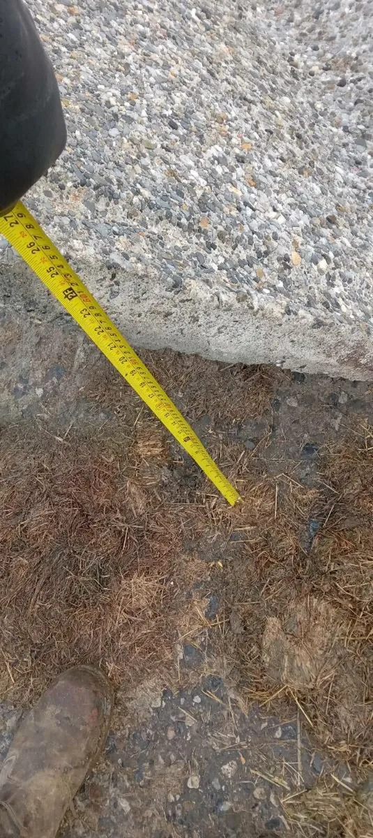 Concrete feed troughs - Image 3