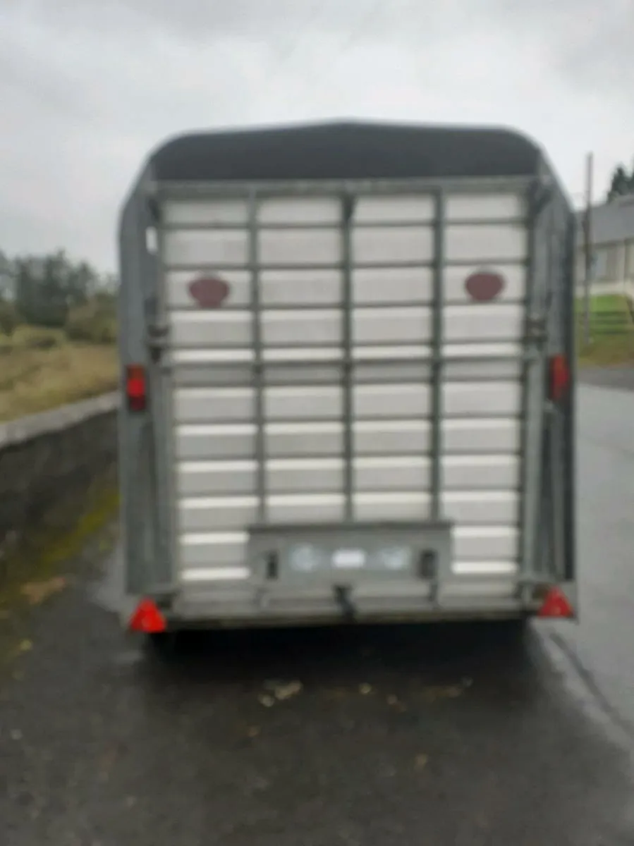 Sheep trailer 8x5 - Image 2