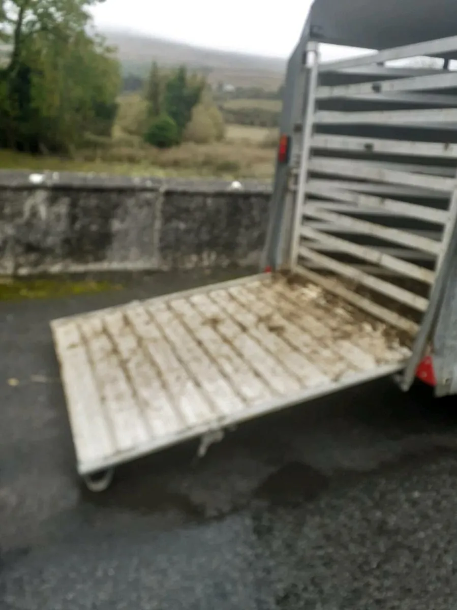 Sheep trailer 8x5 - Image 3