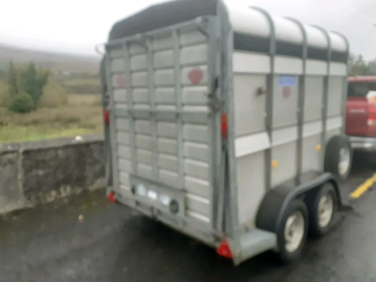 Sheep trailer 8x5 - Image 4