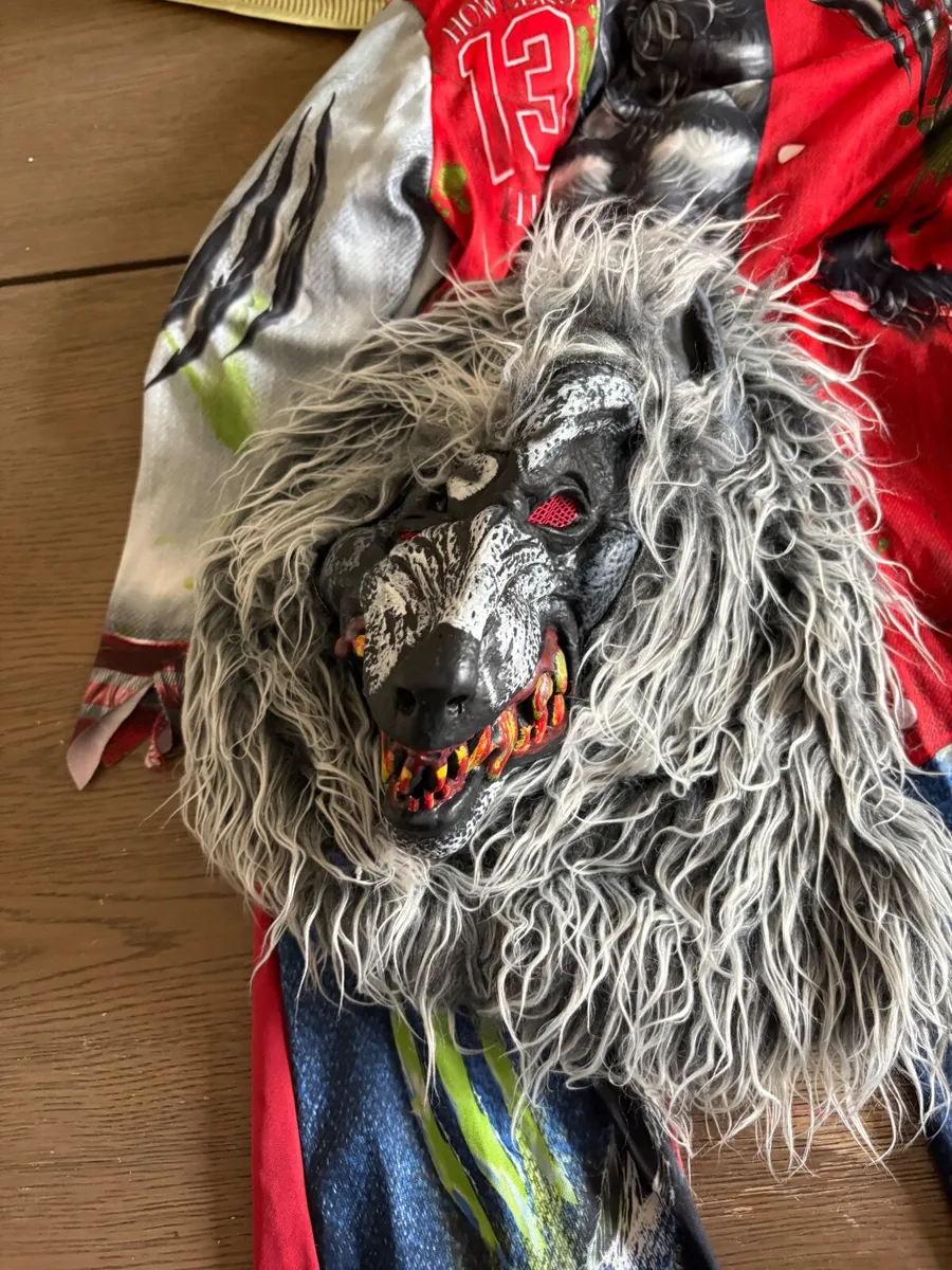 Kids Wolf Costume - Image 1