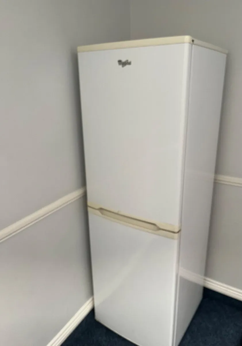 Fridge Freezer - Image 1