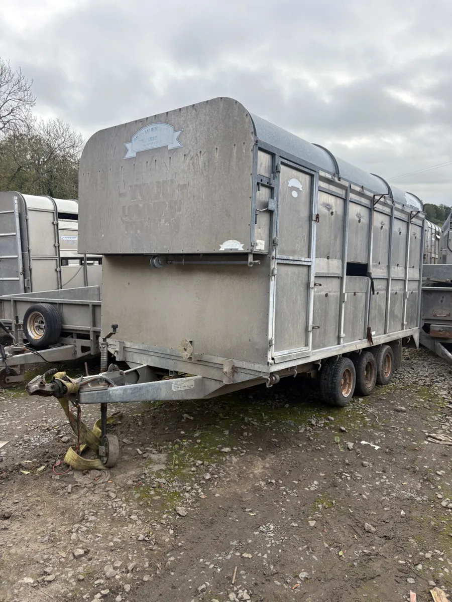 Graham Edward’s 12ft cattle trailer - Image 1