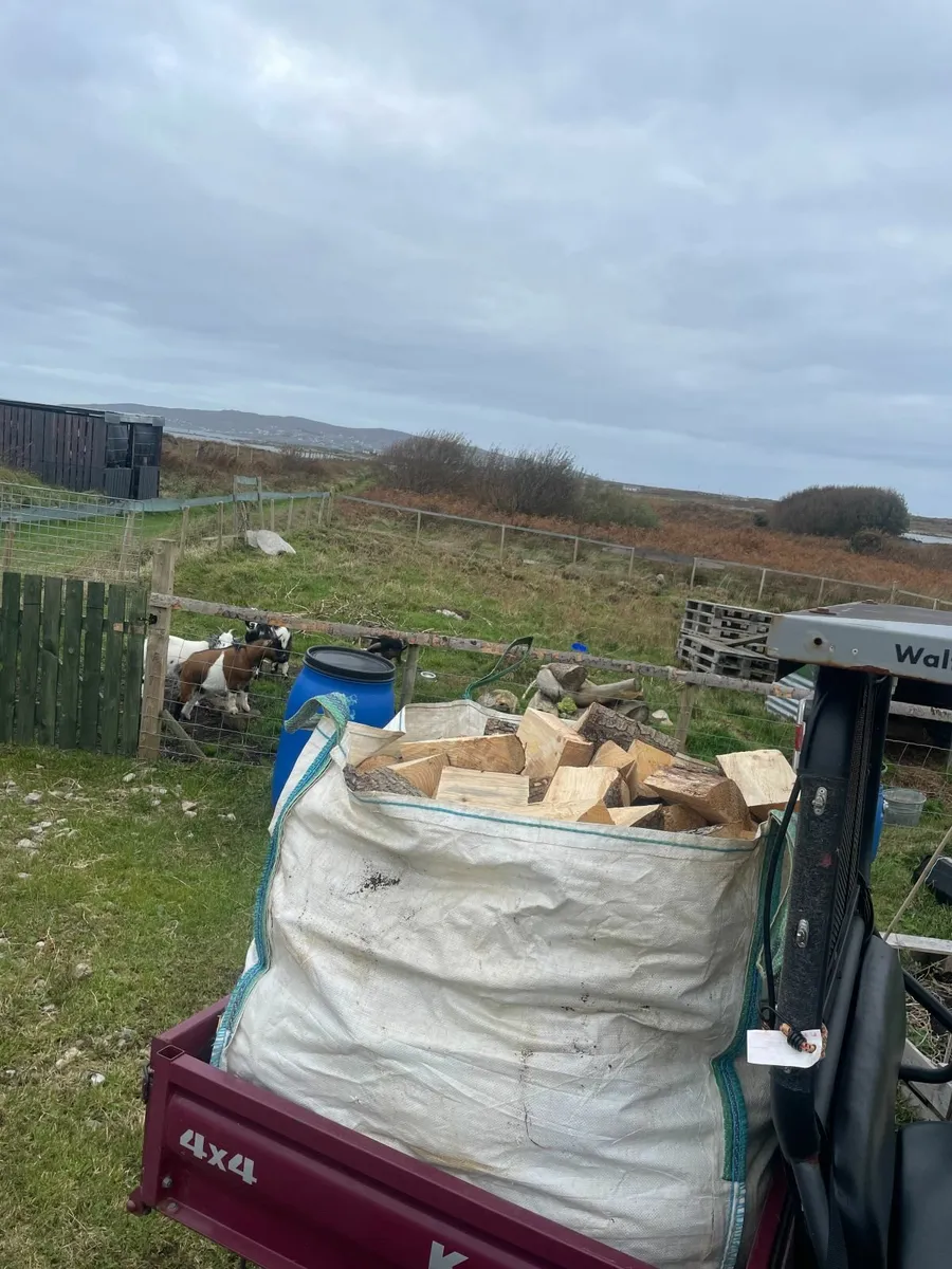 Logs for Sale - Image 2
