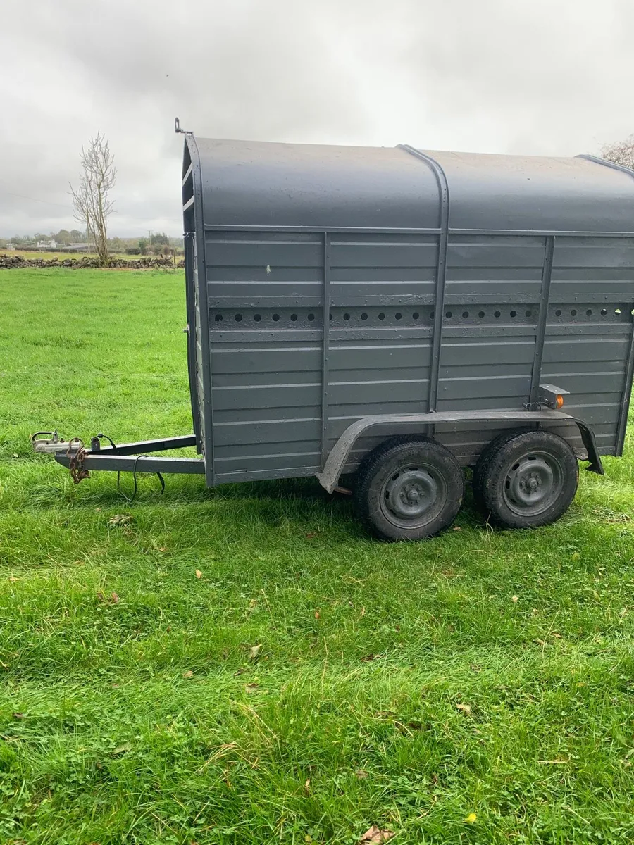 Car trailer - Image 4