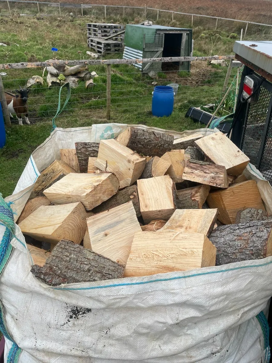 Logs for Sale - Image 1