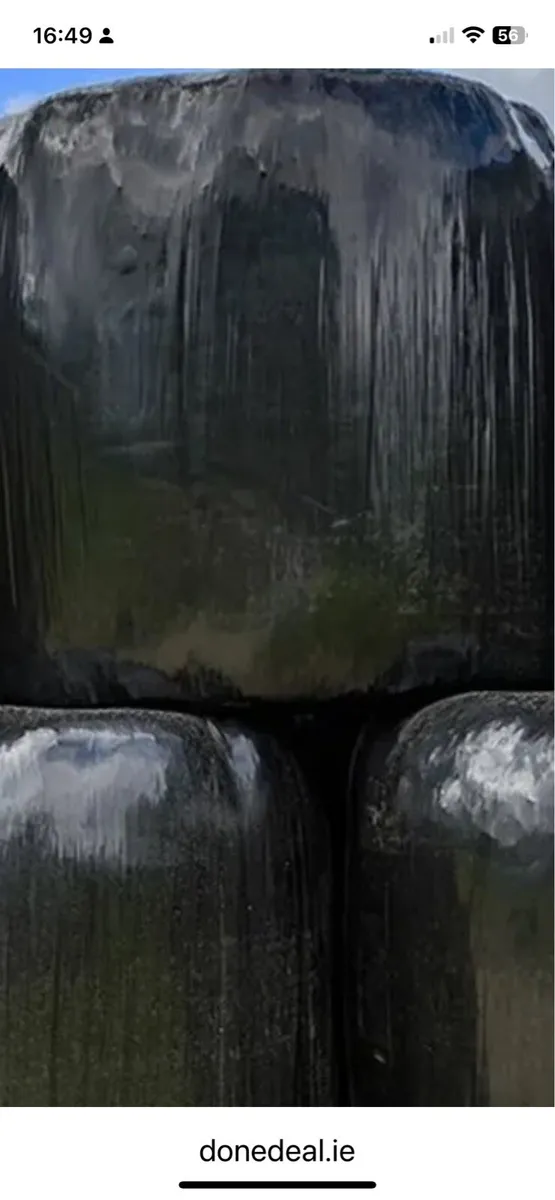 Silage
