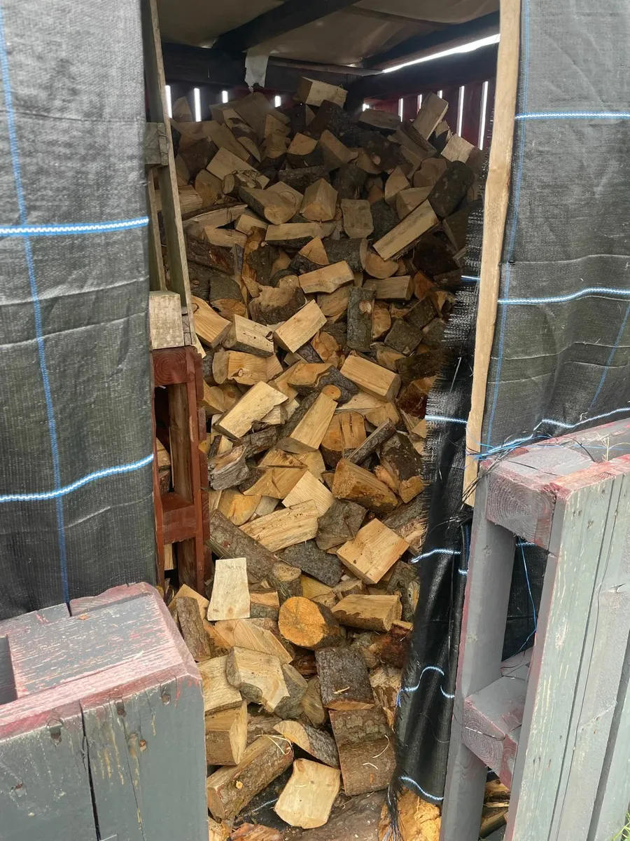 Logs for Sale - Image 4