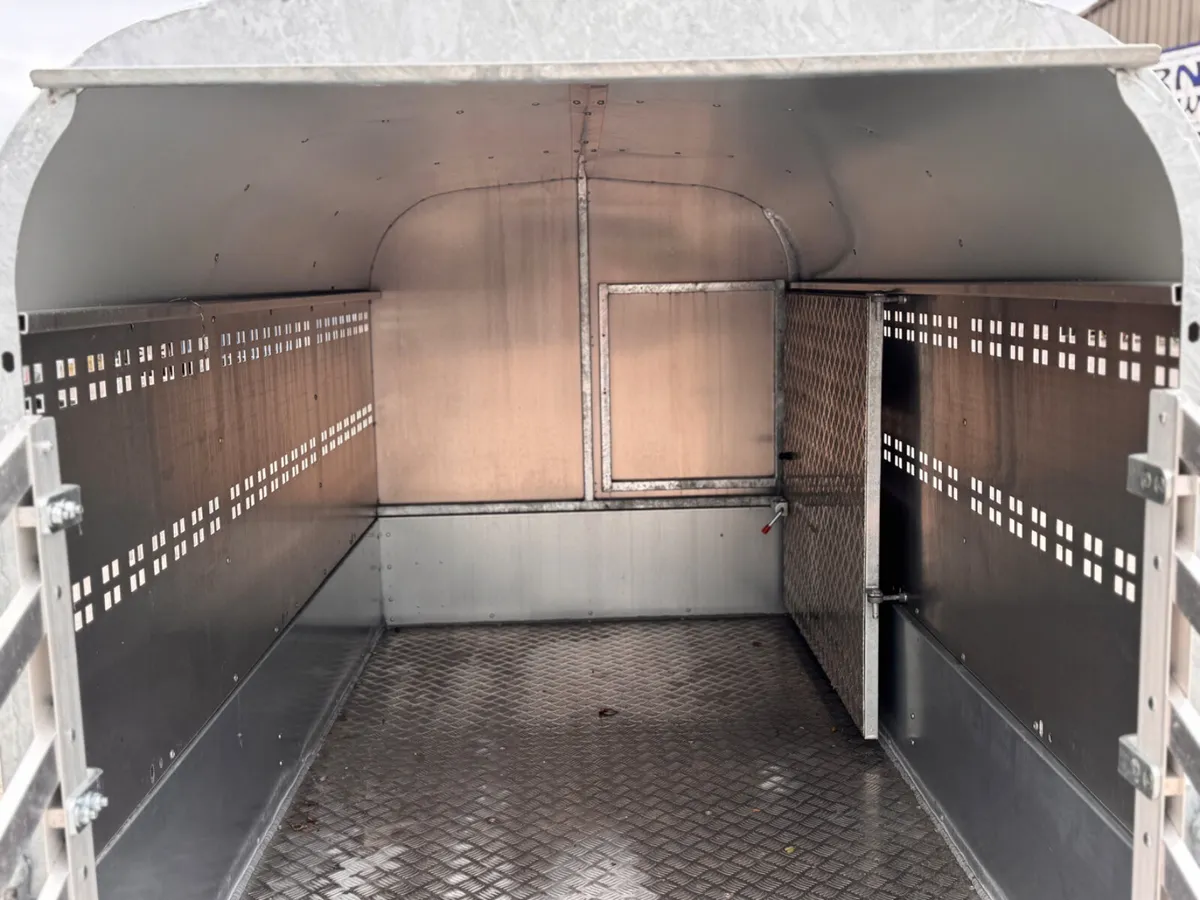 Pig / calf / sheep Trailer - Image 2