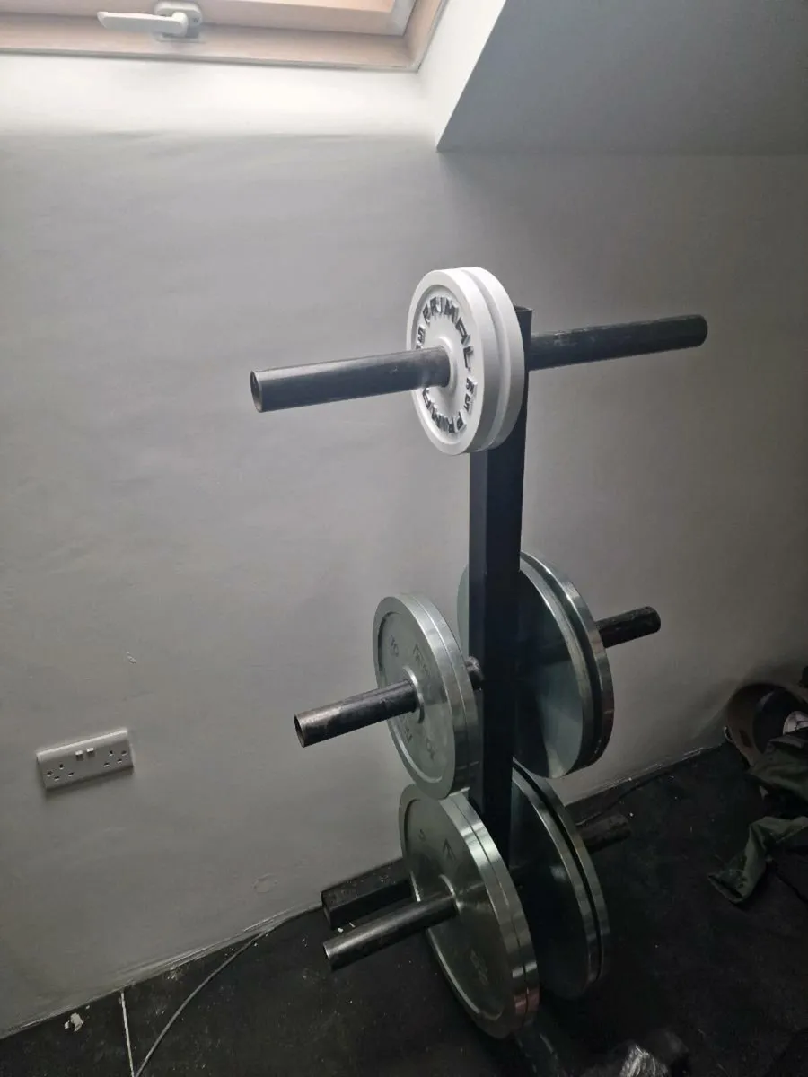 Powerlifting plates (mirafit and primal strength) - Image 1