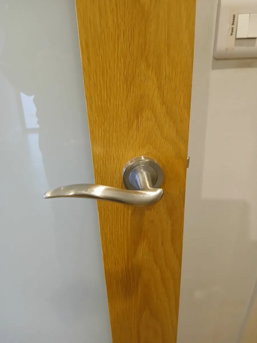 Oak interior door..need it gone soon. - Image 3