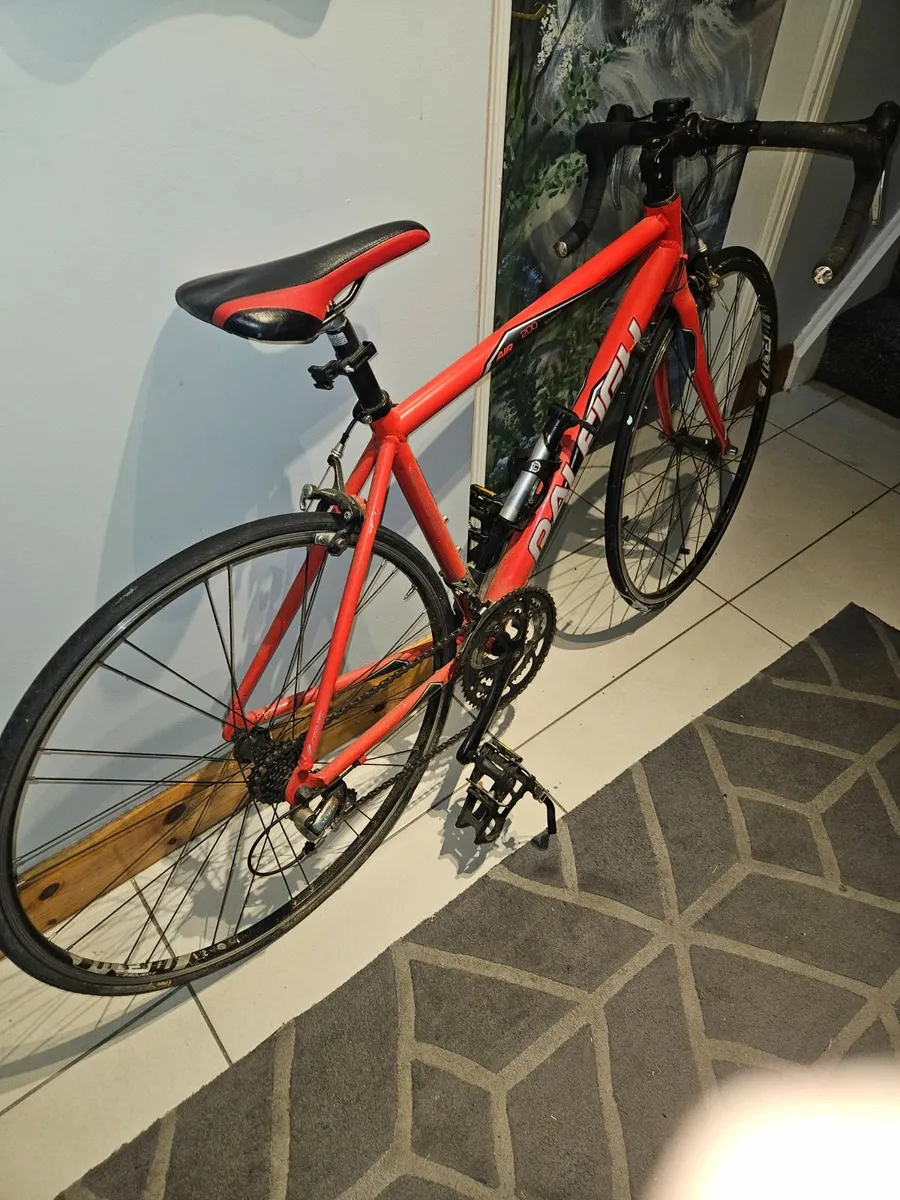 Mens bicycle - Image 1