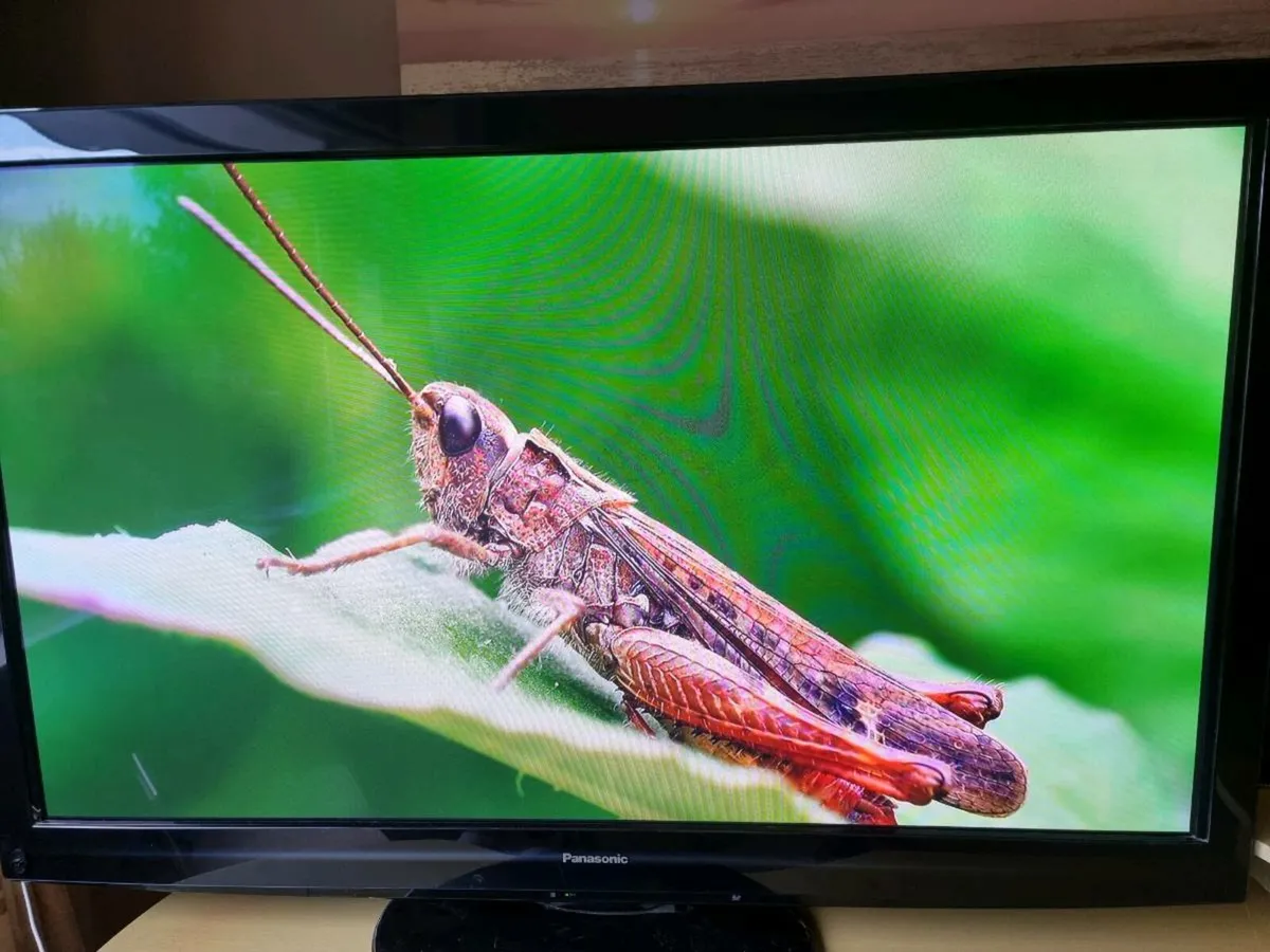 Panasonic 50 inch Smart TV - Image 1