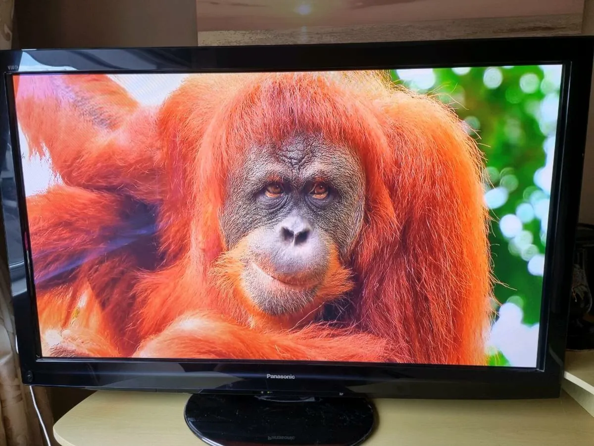 Panasonic 50 inch Smart TV - Image 2