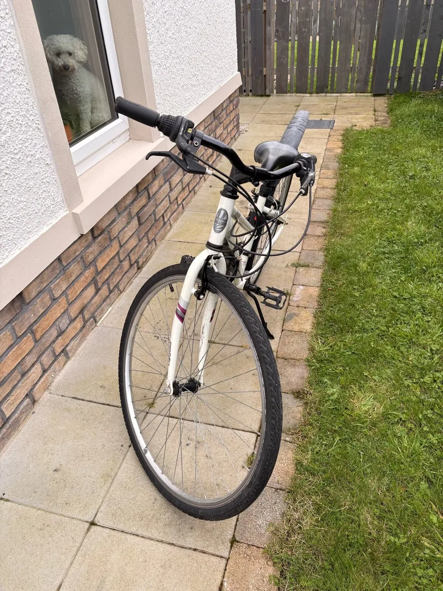 Women’s Cycle - Image 1