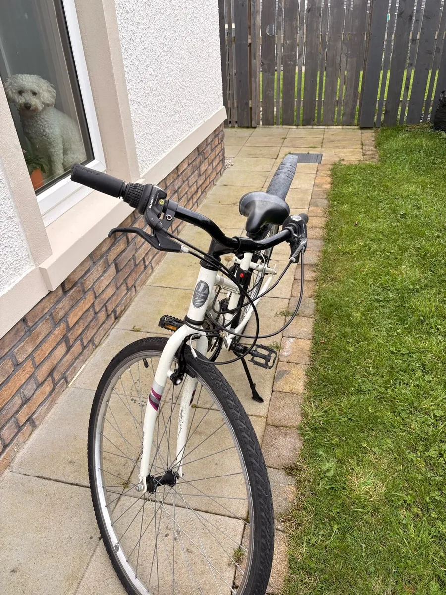 Women’s Cycle - Image 2