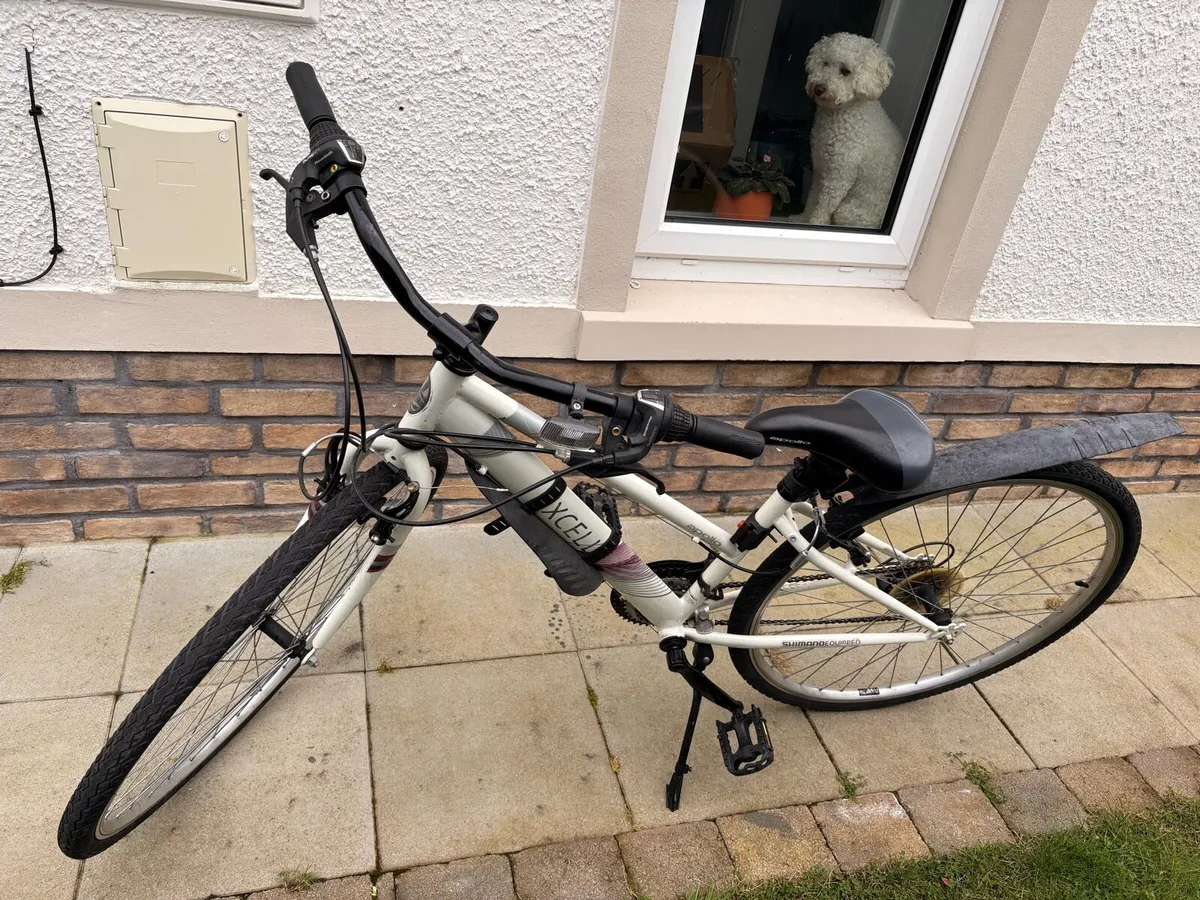 Women’s Cycle - Image 3