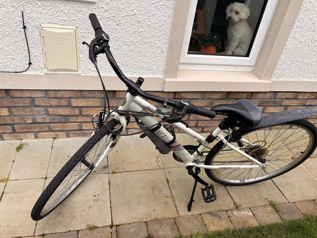 Women’s Cycle - Image 4