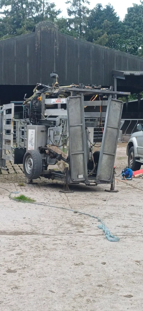 Wopa 51 hoof crate - Image 2
