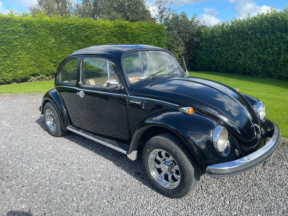 Volkswagen Beetle - Image 2