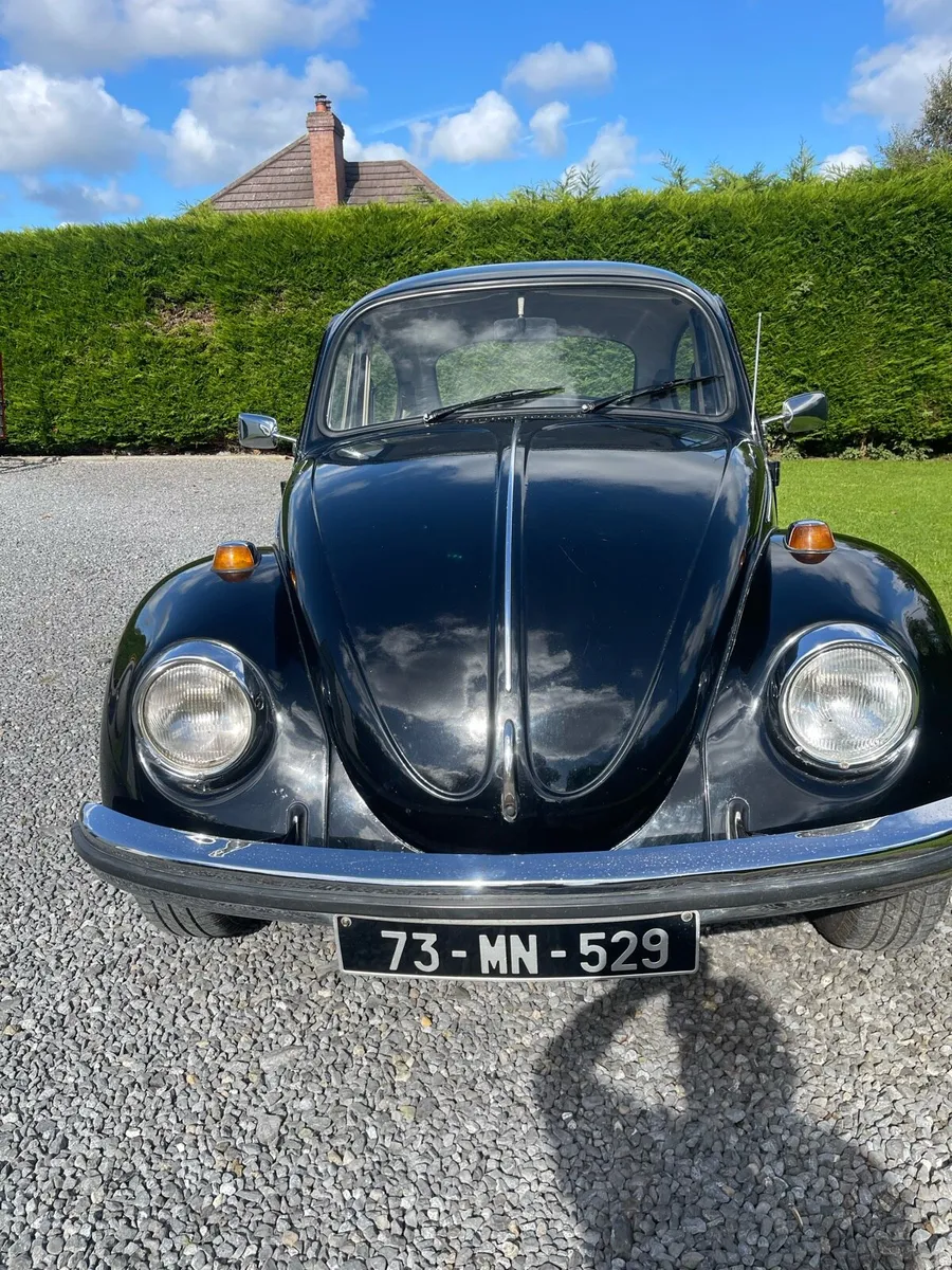 Volkswagen Beetle - Image 3