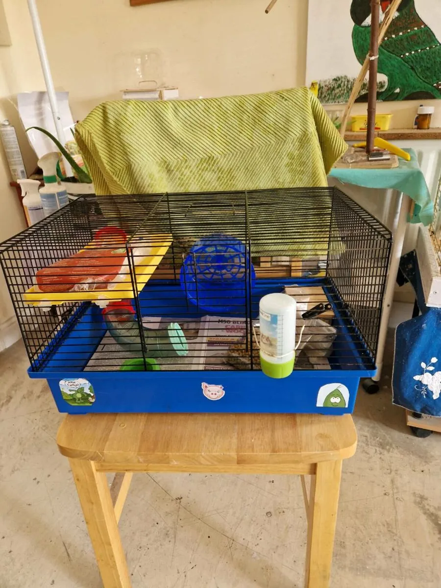 Hamster cage - Image 1