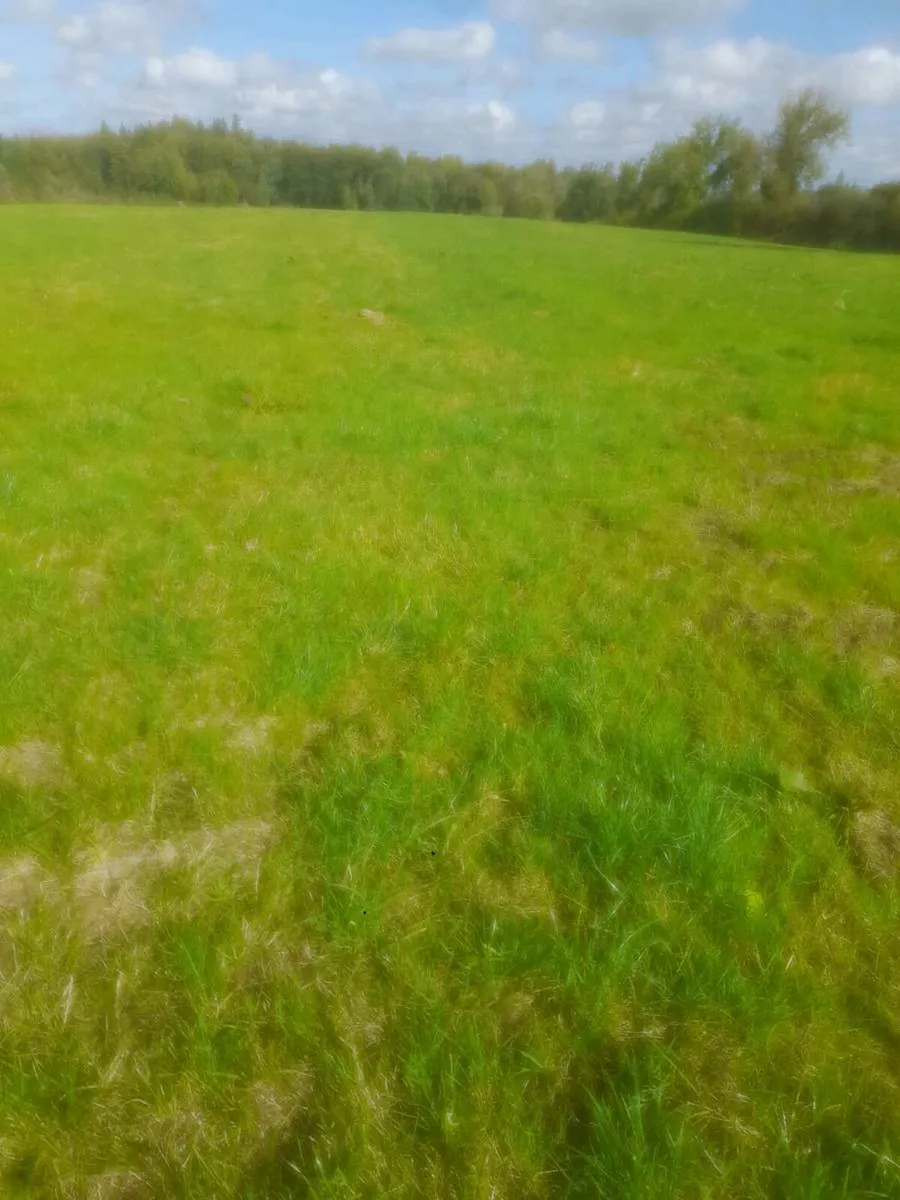 Letting - Image 2