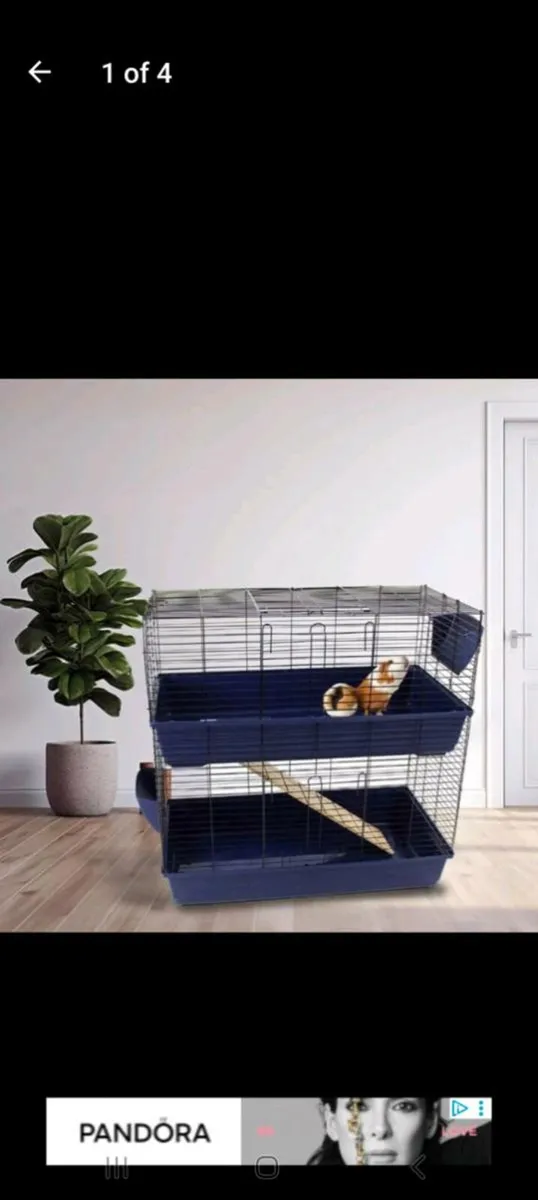 Cages - Image 1