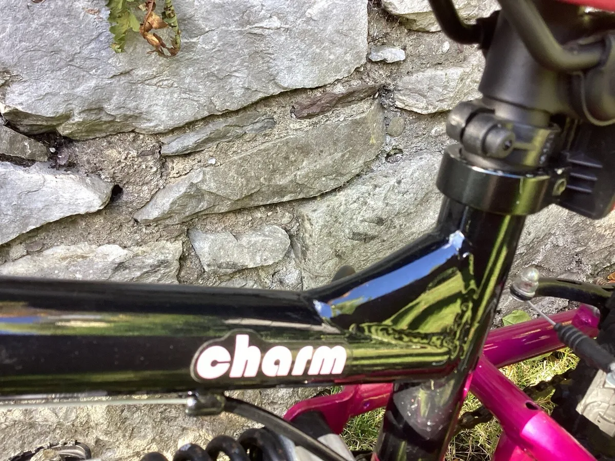 Pristine Apollo Charm Bicycle - Image 3