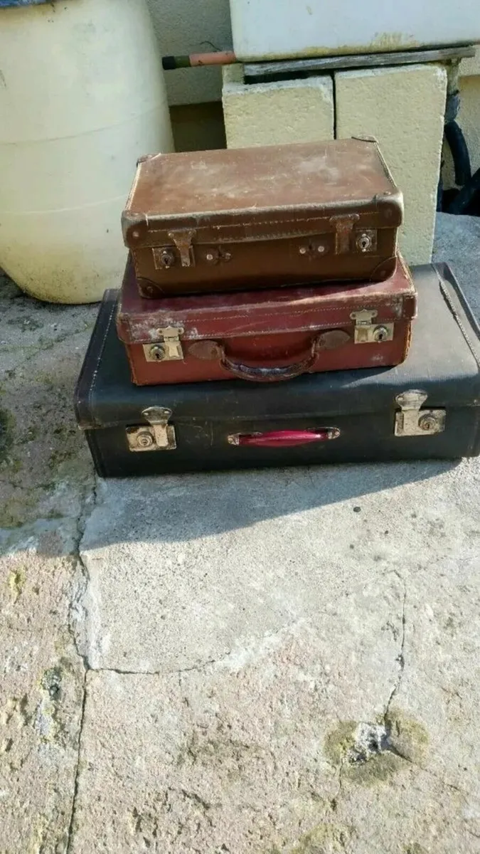 3. Vintage Cases - Image 1