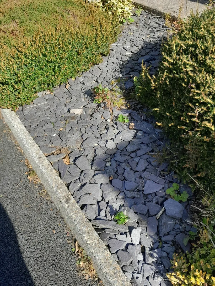 Garden - Image 1
