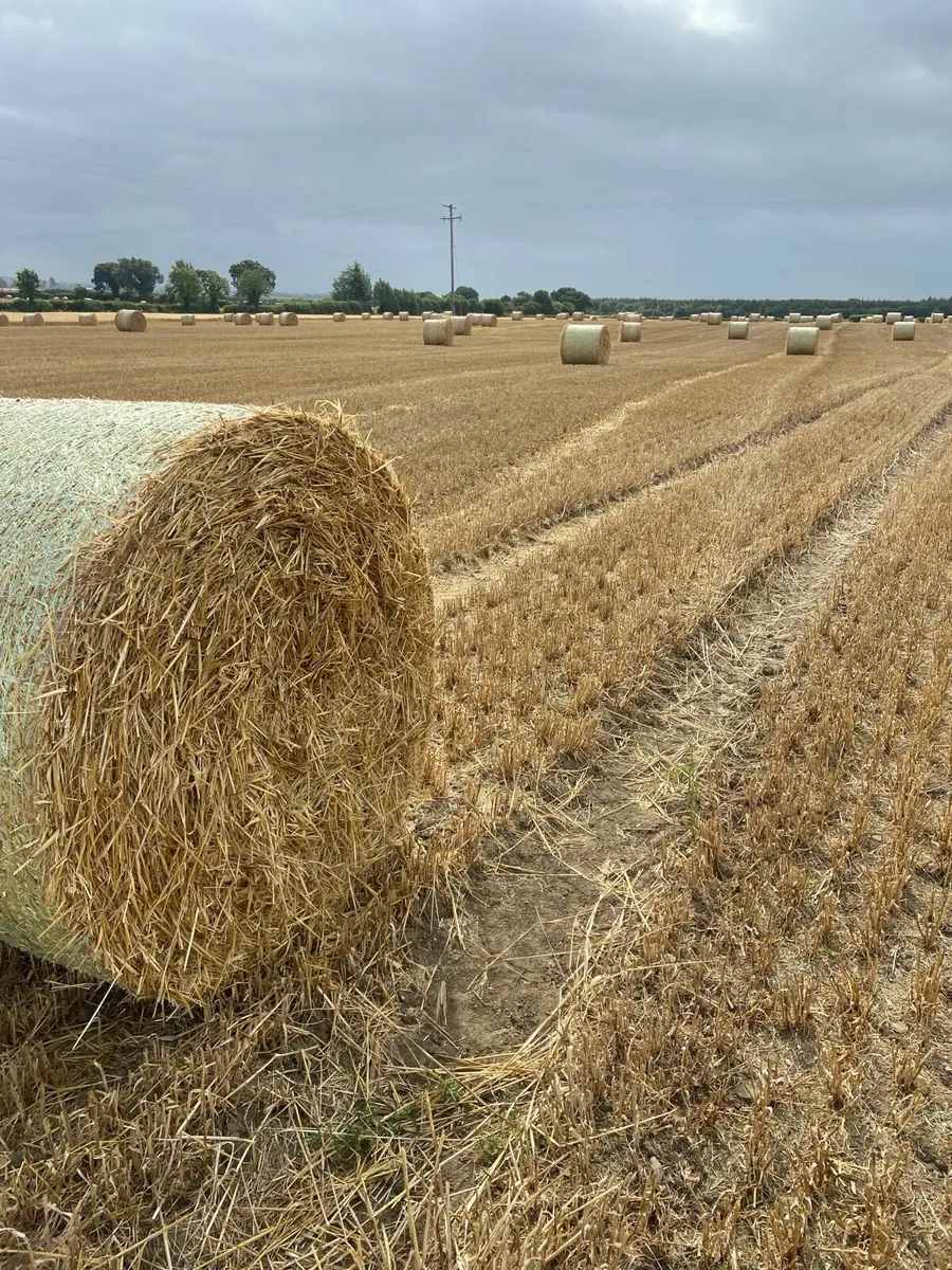 Straw - Image 1