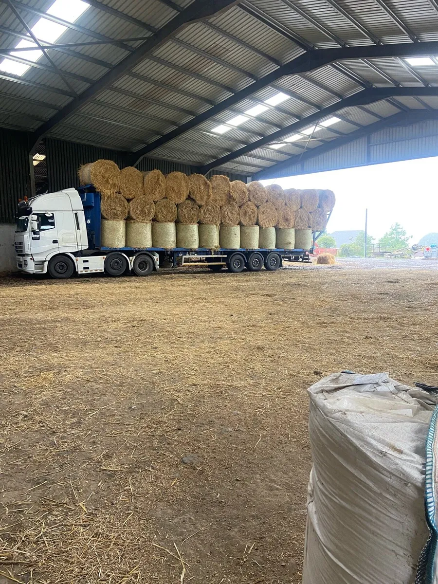 Straw - Image 2