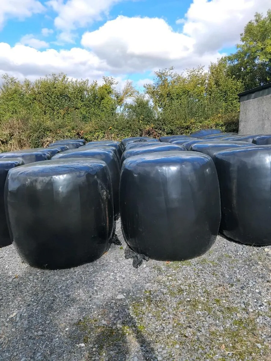 Silage for sale - Image 3