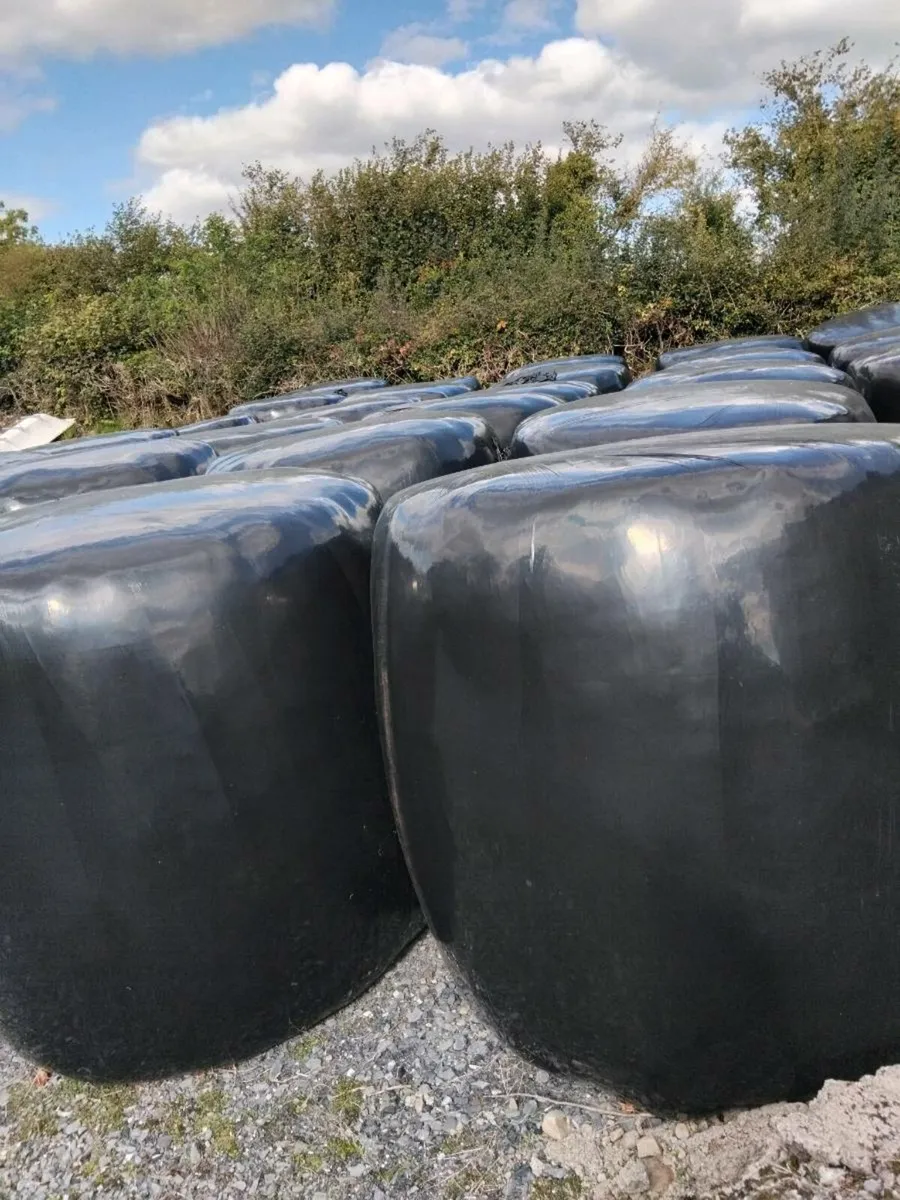 Silage for sale - Image 1