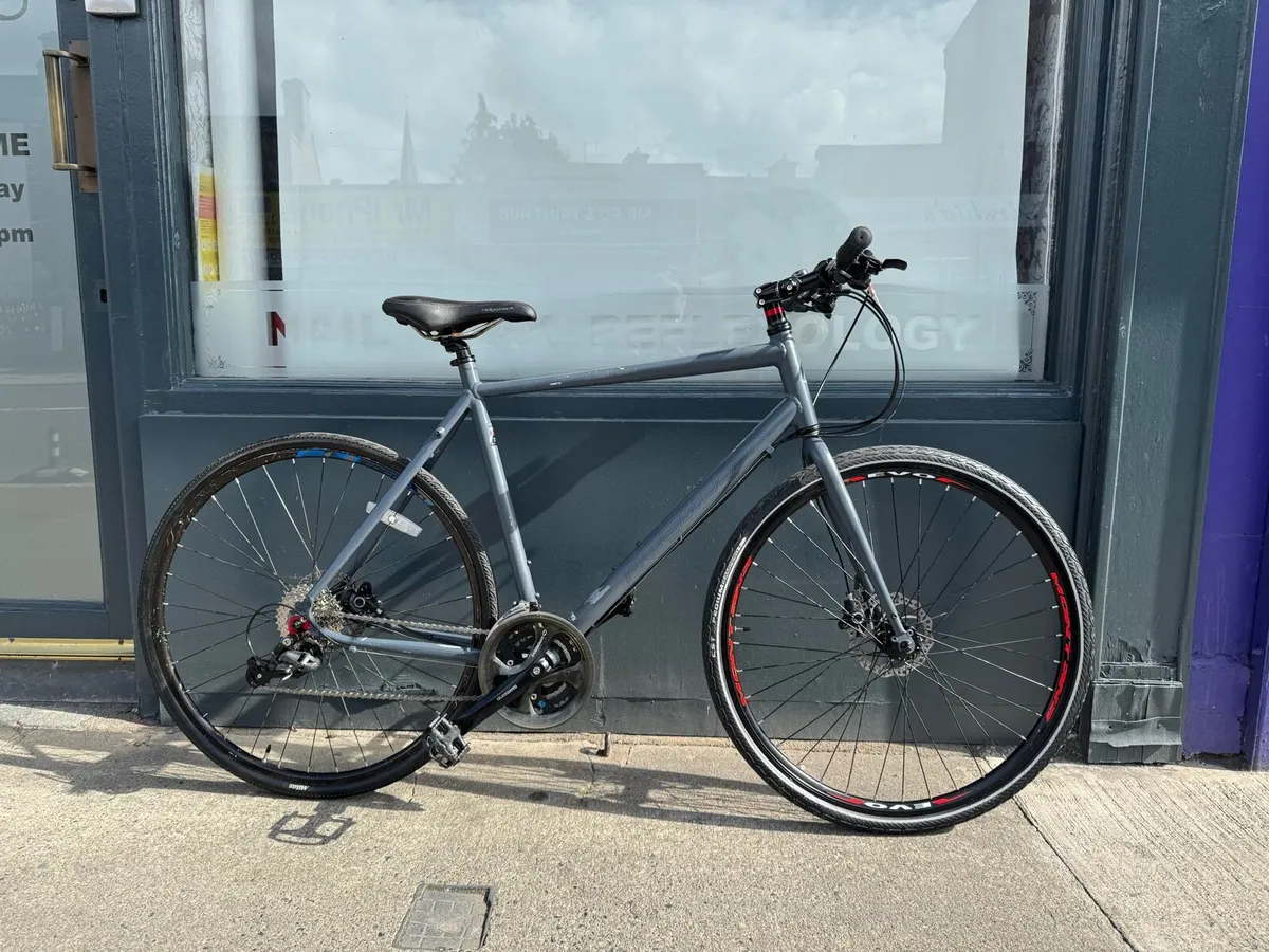 Ridgeback - Image 1