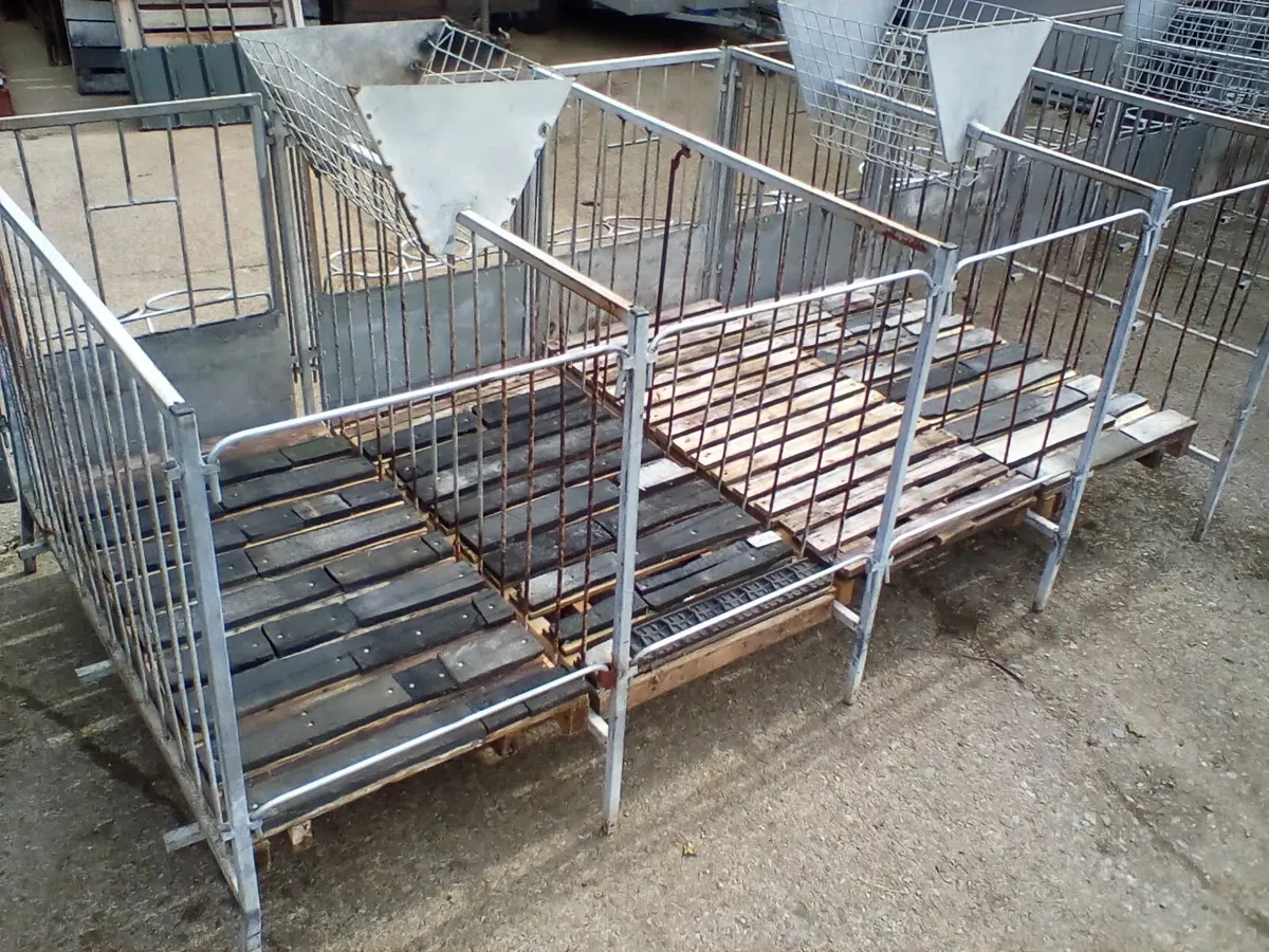 Single calf pens with slats - Image 3
