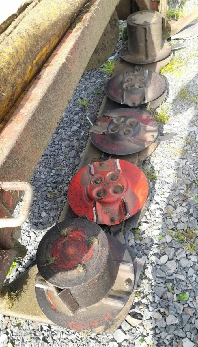 Yard clearance - Image 1