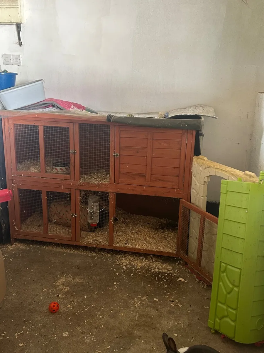 Rabbit and hutch - Image 2