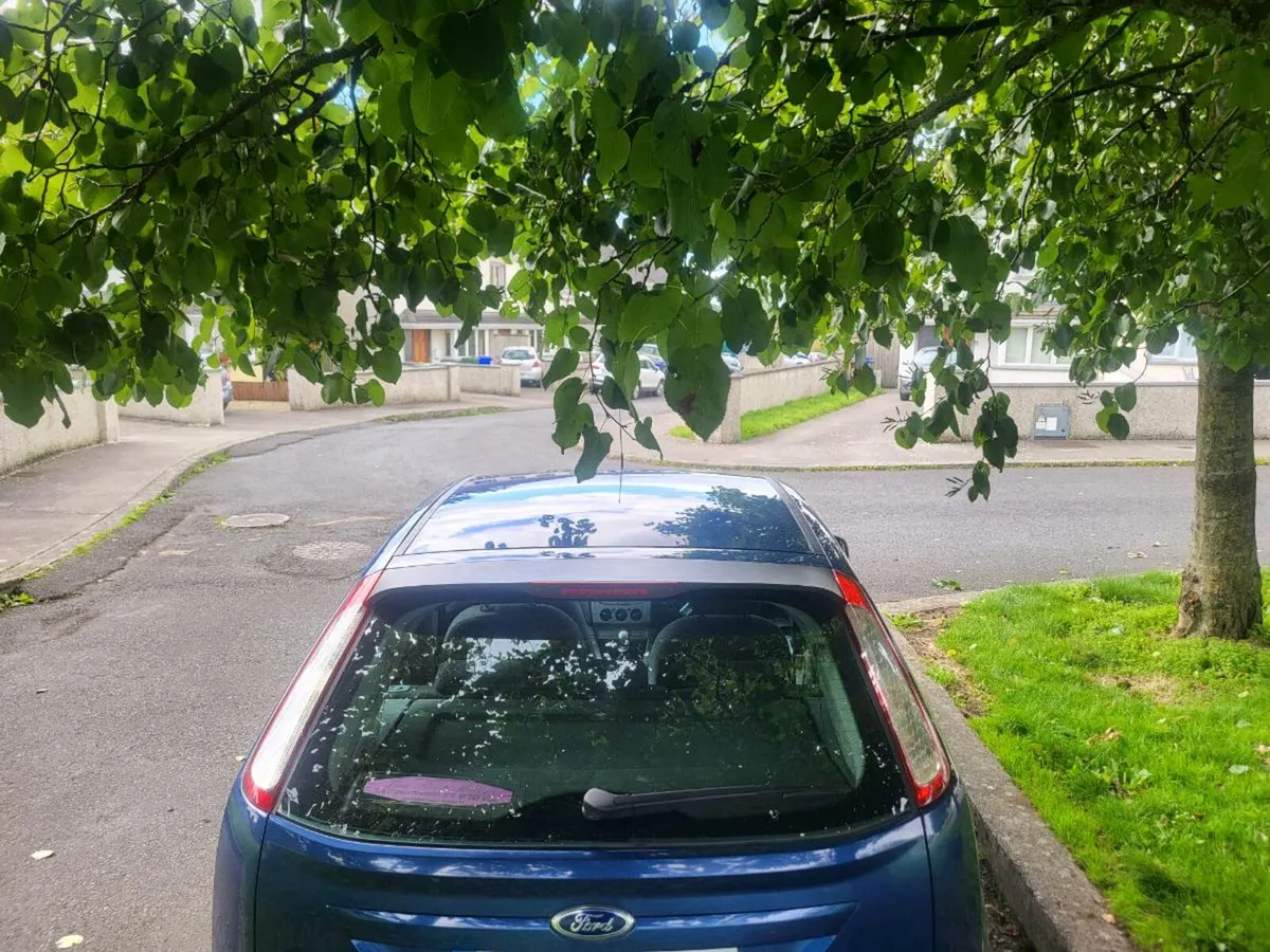 2010 ford focus 1.6dsl - Image 4