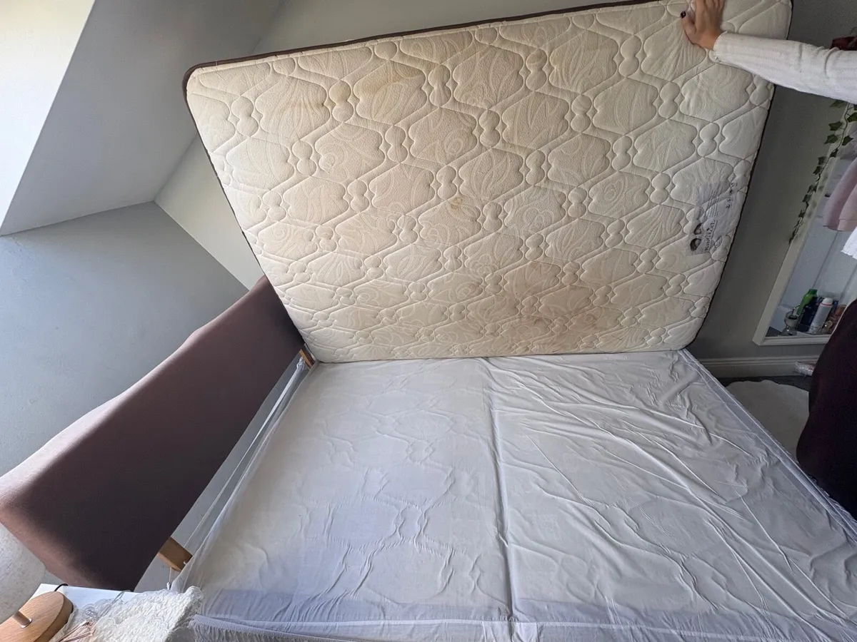 Bed - Image 2