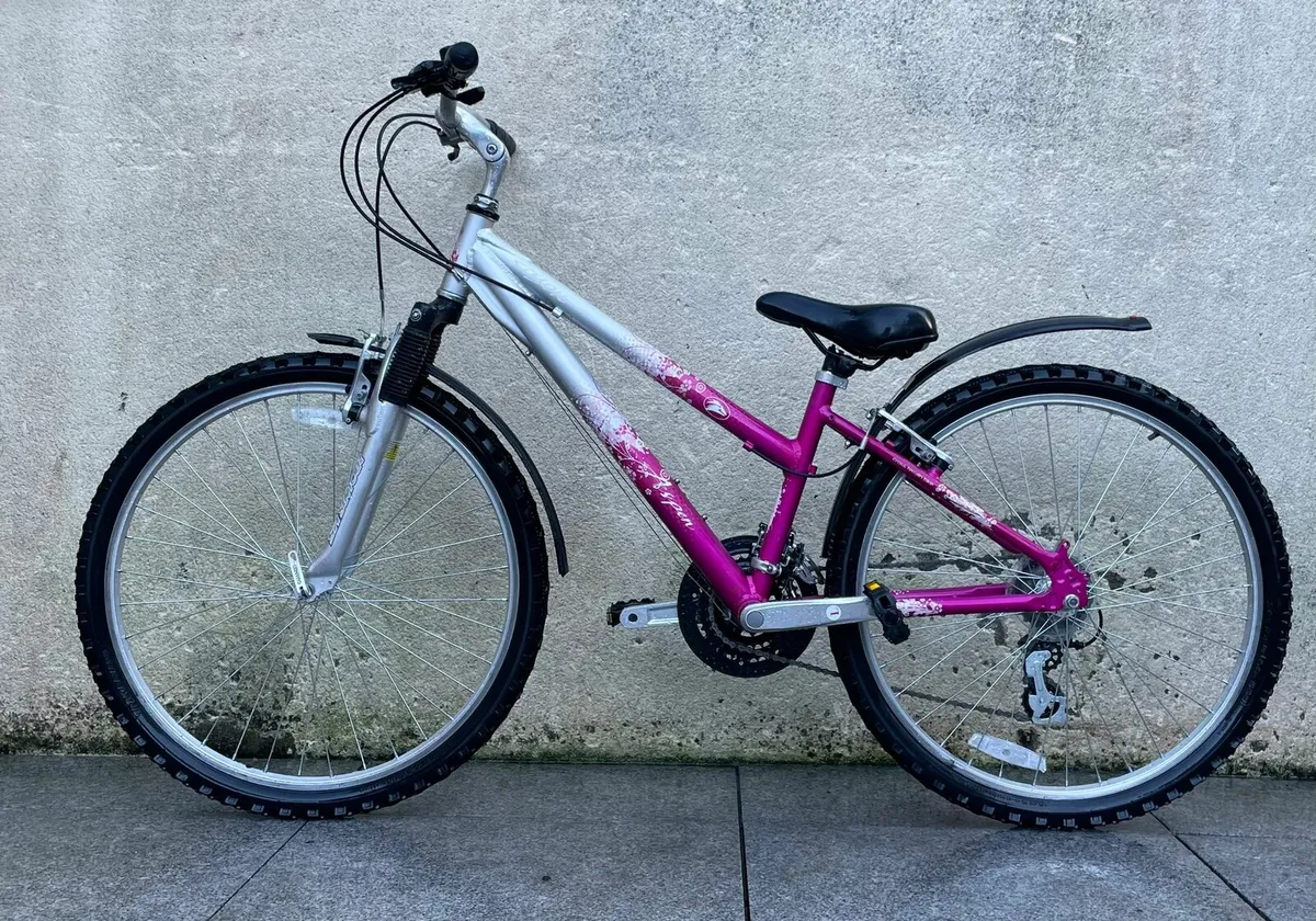 [BRAND NEW] bicycle - Image 2