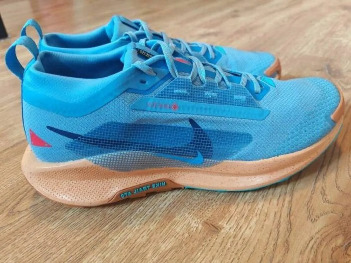 Nike Pegasus Trail 5 GORE-TEX running shoes UK 9.5 - Image 1
