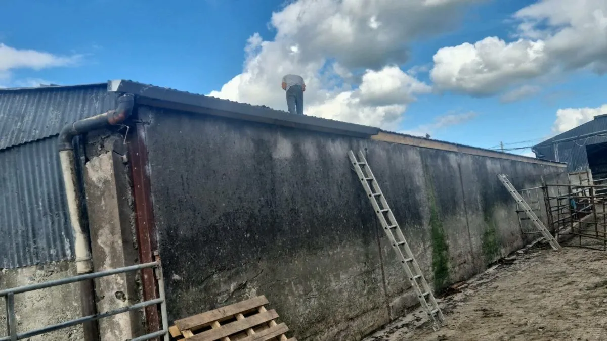 Farm shed repairs and gutters - Image 2
